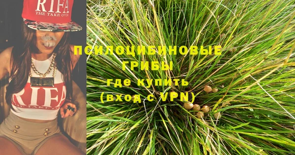 таблы Осинники