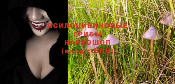 хмурый Армянск